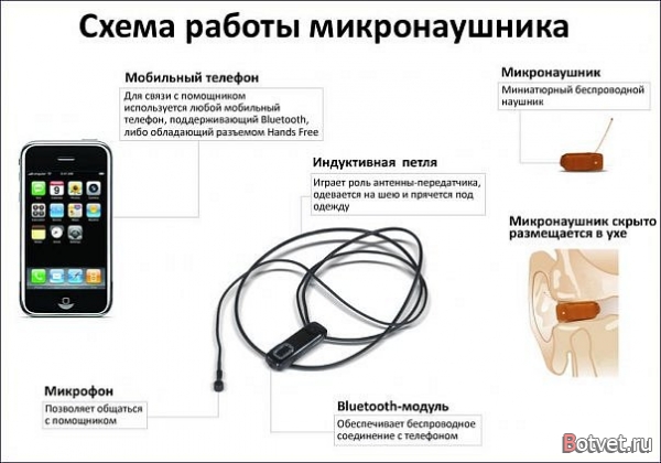 Как сдать госэкзамены? Как сдать госэкзамены?