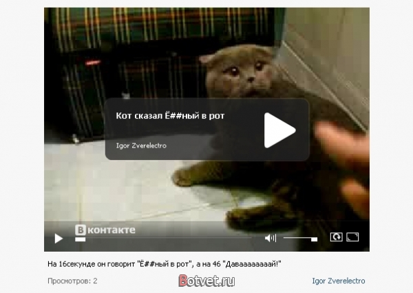 Как вставить видео с контакта на сайт?