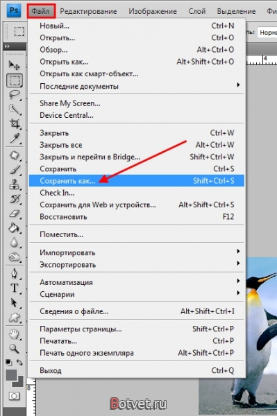 Как изменить размер картинки, используя Photoshop?