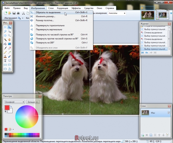 Как обрезать фотографию в paint net?