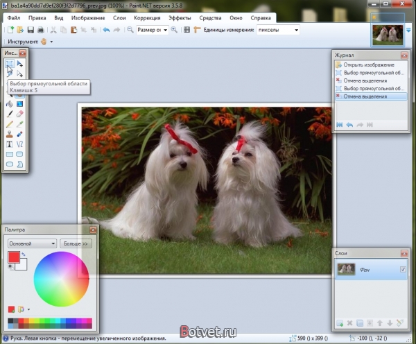Как обрезать фотографию в paint net?