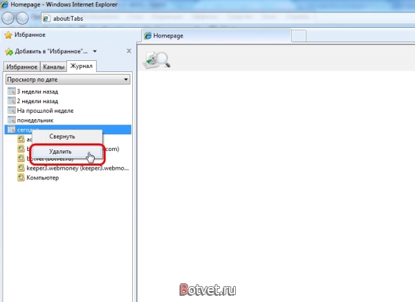 Как удалить историю в internet explorer?